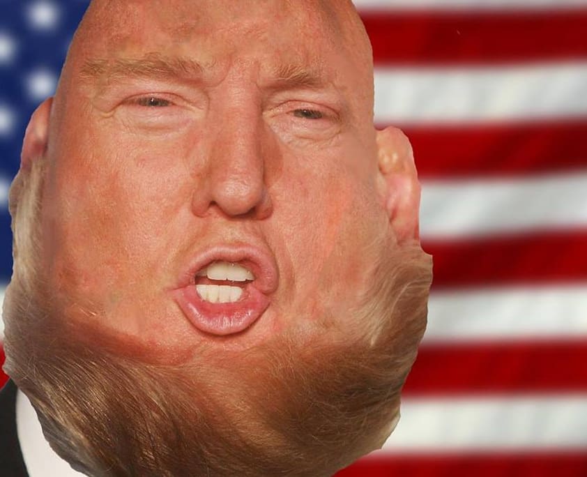 Violence, Humiliation, Spectacle, and Fascism