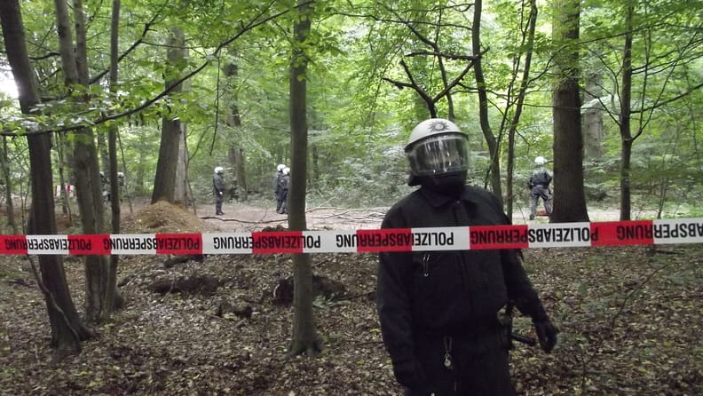 On Extinction, Exploitation and Ecocide