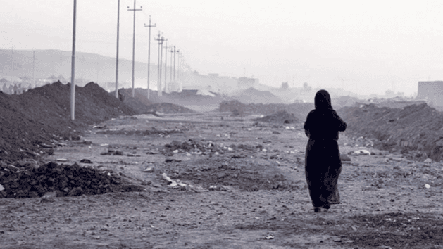 Isolation and Exposure in Iraq and Germany